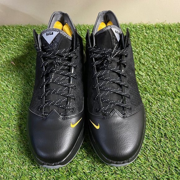 Nike LeBron XIX 19 Low Shoes \